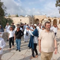 اقتحامات ضخمة للأقصى وبن جفير يقود اقتحام الحرم الإبراهيمي وسط تصاعد اعتداءات المستوطنين بالضفة