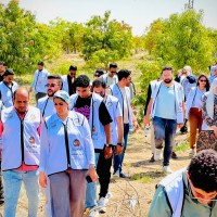 حاضنات ريادة الأعمال.. من الاستثمار الذكي إلى صناعة المستقبل