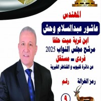 ميت حلفا تنتفض لدعم ابنها المهندس عاشور عبدالسلام وحش في انتخابات مجلس النواب 2025