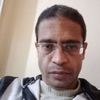 يحيى الشربيني يكتب : من مكة إلى كربلاء . الحسين ومأساة العاشر من محرم
