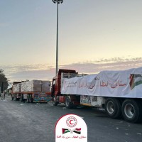 مصر تغيث غزة بـ 5 آلاف طن.. الهلال الأحمر يطلق حملتي ”سنابل العطاء” و”زاد العزة” لمواجهة أزمة الخبز والشتاء