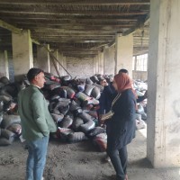 مزرعة دواجن تثير الرعب في القليوبية.. والسبب كميات ضخمة من المواد الكيماوية الخطرة المهربة من ليبيا