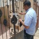  الصحة تغلق 15 مركزاً غير مرخص لعلاج الإدمان والطب النفسي بمدينة الشروق