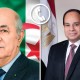 الرئيس السيسي يبحث مع نظيره الجزائري تعزيز العلاقات الثنائية وتطورات الأوضاع في غزة