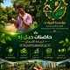  مؤسسة أفرولاند  تطلق برنامج حاضنات جيل زد