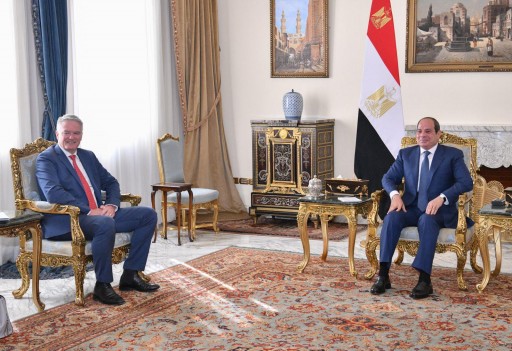 الرئيس السيسي يستقبل أمين ”منظمة التعاون الاقتصادي”: مصر فقدت 10 مليارات دولار من عائدات القناة بسبب توترات المنطقة