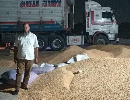 بتوريد دفعة جديدة من محصول الذرة الصفراء بمراقبة الحمام بمطروح