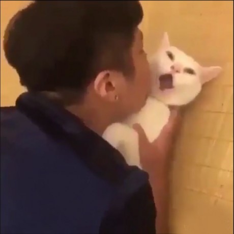 اغرب 10 جرائم في 2023.. سرقة تنين وعودة روبين هود وبيتزا قاتلة ولعبة مدمرة