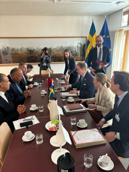 وزير الخارجية لنظيره السويدي: إسرائيل أمعنت في اعتدائها على غزة.. ويؤكد على حل الدولتين