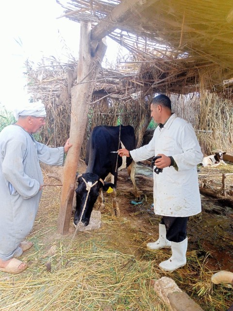 الفلاحين الزراعيين تشيد بدور وزارة الزراعة في الحفاظ علي الثروة الحيوانية