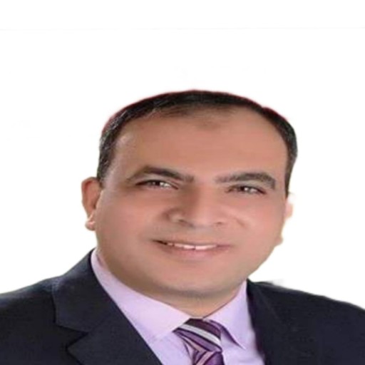 قيادي بالجبهة الوطنية: أمن واستقرار مصر هو مسؤوليتنا جميعا.. والجيش هو خط الدفاع الأول عن الوطن