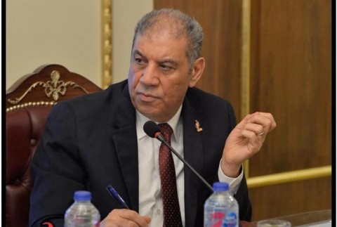 طارق عجيز يكتب:ثورة 30 يونيو.. لحظة التحرر من فاشية المتأسلمين