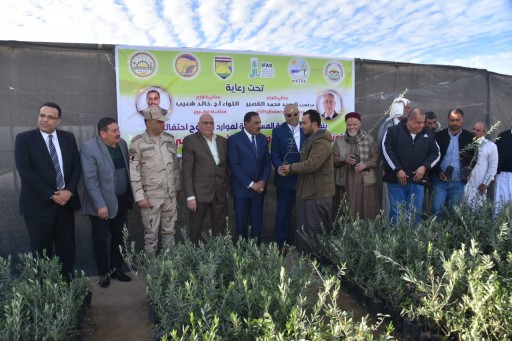 توزيع ٥٠ ألف شتلة زيتون و٢٠٠٠ شيكارة شعير على عدد من مزارعي مطروح