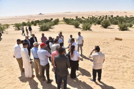 محافظ مطروح يتفقد مزرعتين نموذجيتين لنخيل المجدول ذو الصنف العالي الانتاجية