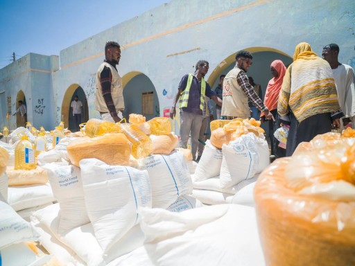 المجاعة تدق أبواب السودان.. والأمم المتحدة تحذر: 20 مليون مواطن في مصيدة الجوع والموت يهدد الأطفال