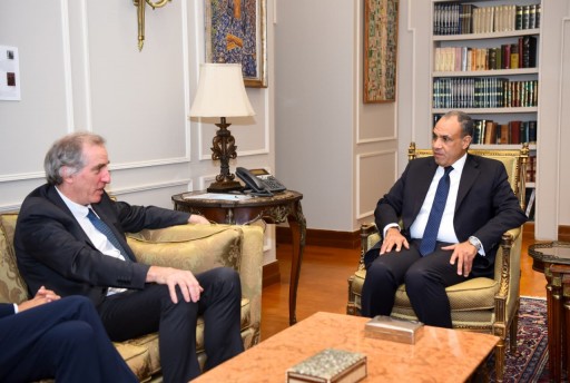 وزير الخارجية المصري يبحث مع وفد أوروبي ملف تدريب الشرطة الفلسطينية ضمن جهود دعم الاستقرار في غزة