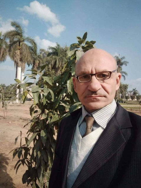 د.  محمد حجاب يكتب: توصيات زراعية لمزراعي القمح