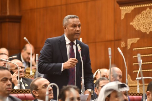 النائب محمد حمزة يطالب بتحديد أسعار السماد حتي يصل الدعم لصغار المزارعين