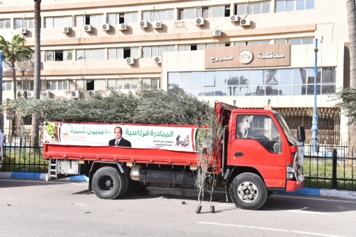 ضمن المرحلة الثانية للمبادرة الرئاسية  ١٠٠ مليون شجرة مطروح تستقبل عدد ٦٥ ألف شجرة