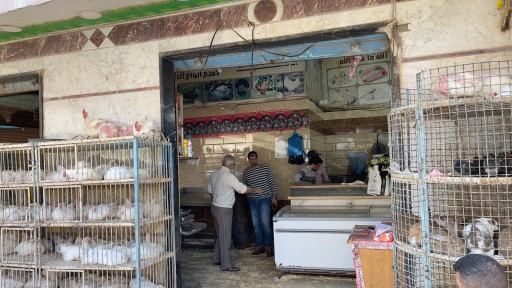 لجنة تفتيش من شركة المياة على المحلات التجارية وسوق الأسماك والدواجن بمطروح