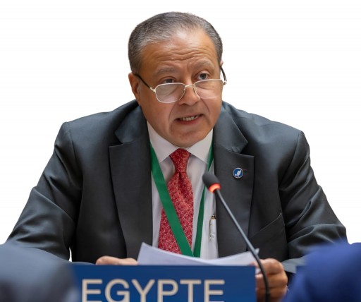 الجهاز المصري للملكية الفكرية يعلن عن احتلال القاهرة المركز الـ(83) عالميا