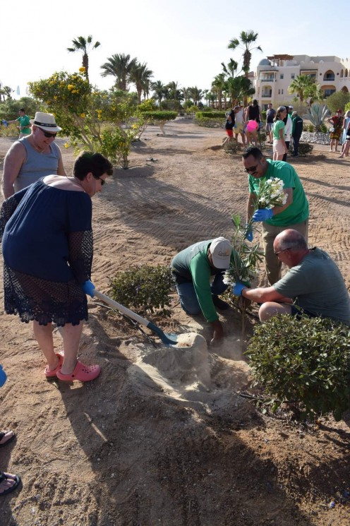 فندق سياحي في الغردقة يحتفل بيوم الأرض مع النزلاء بزراعة 15شجرة 