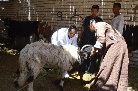 محافظ مطروح يتابع إستمرار فعاليات أعمال الحملة القومية للتحصين ضد مرض الحمى القلاعية وحمى الوادي المتصدع