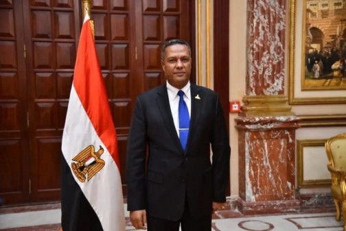 النائب محمد حمزة: المجتمع الدولي يبدأ تصحيح موقفه من جماعة الإخوان بعد سنوات من التحذير المصري