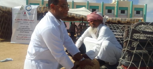 الكشف البيطري على ٢٨١٠ رأس اغنام متنوعة بقرية جلال شرق مطروح