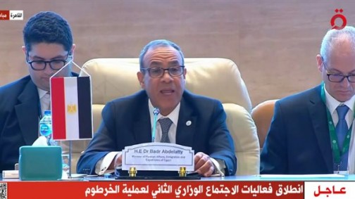 فيديو| وزير الخارجية: مصر ملاذ إنساني لـ10 ملايين لاجئ ومهاجر من 133 دولة