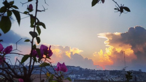 وداعا للصيف.. أجواء خريفية على معظم أجواء المحافظات