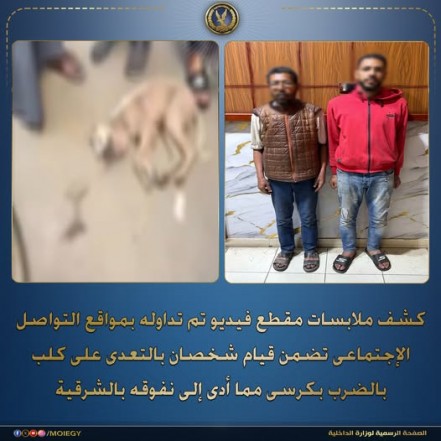كشف ملابسات فيديو ”واقعة كلب الشرقية”: الأمن يضبط الشقيقين المتهمين بإنهاء حياة حيوان أليف بالزقازيق