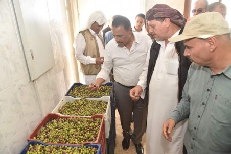 محافظ مطروح يتابع دورة الانتاج بمعصرة الزيتون بقرية ابو لهو  